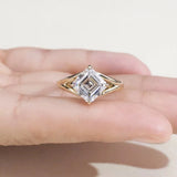 Aurelle Asscher