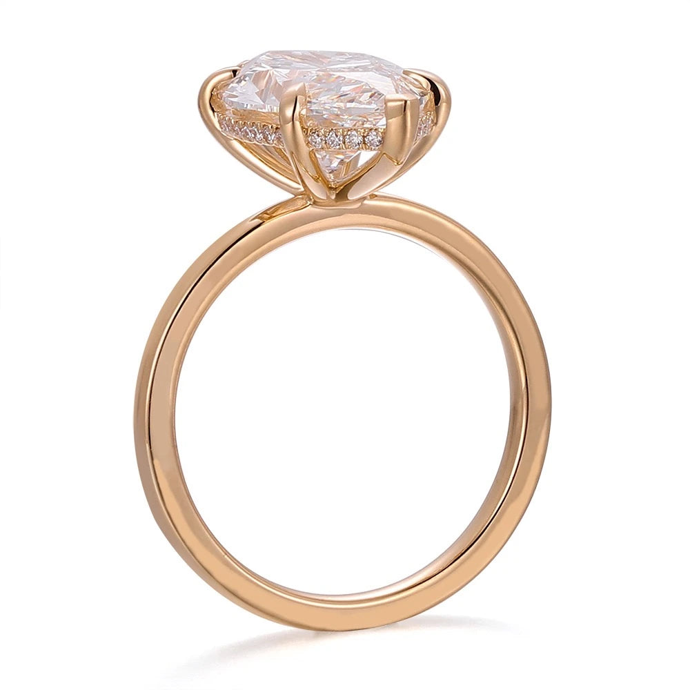 Aile Marquise