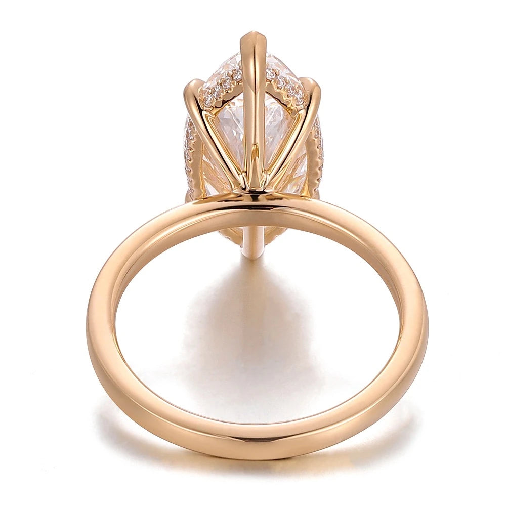Aile Marquise